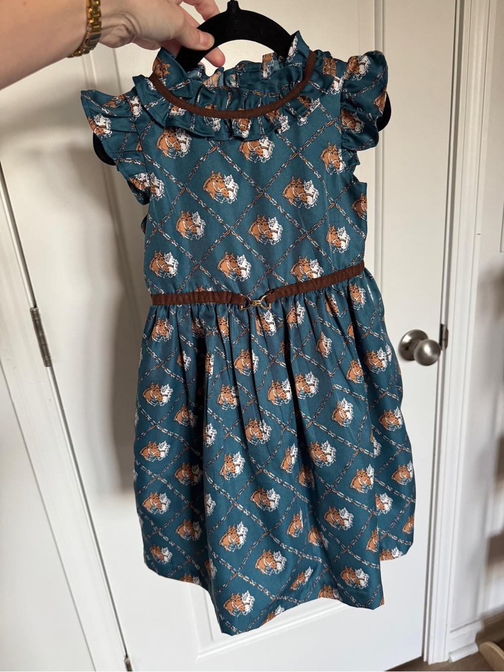 Janie and Jack Teal horse Print Dress with Brown Trim